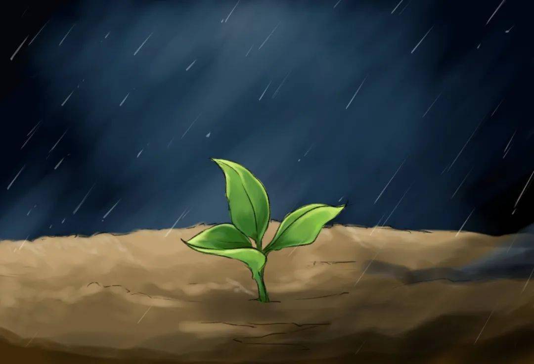 赛道逆境：面对沙尘暴的应对之道的简单介绍