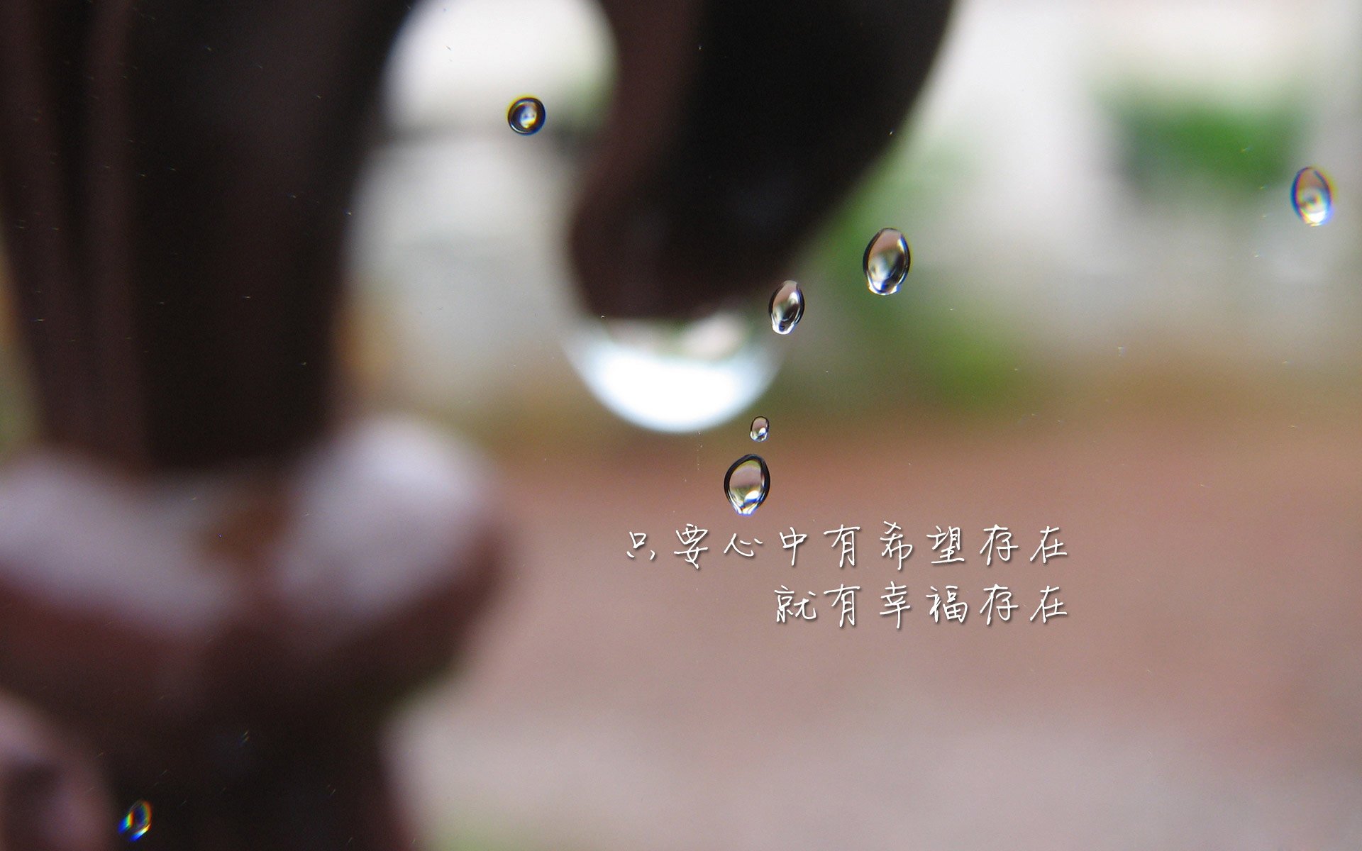 乐鱼app-“中国足球运动员签约国际体育品牌”，足球队员中国