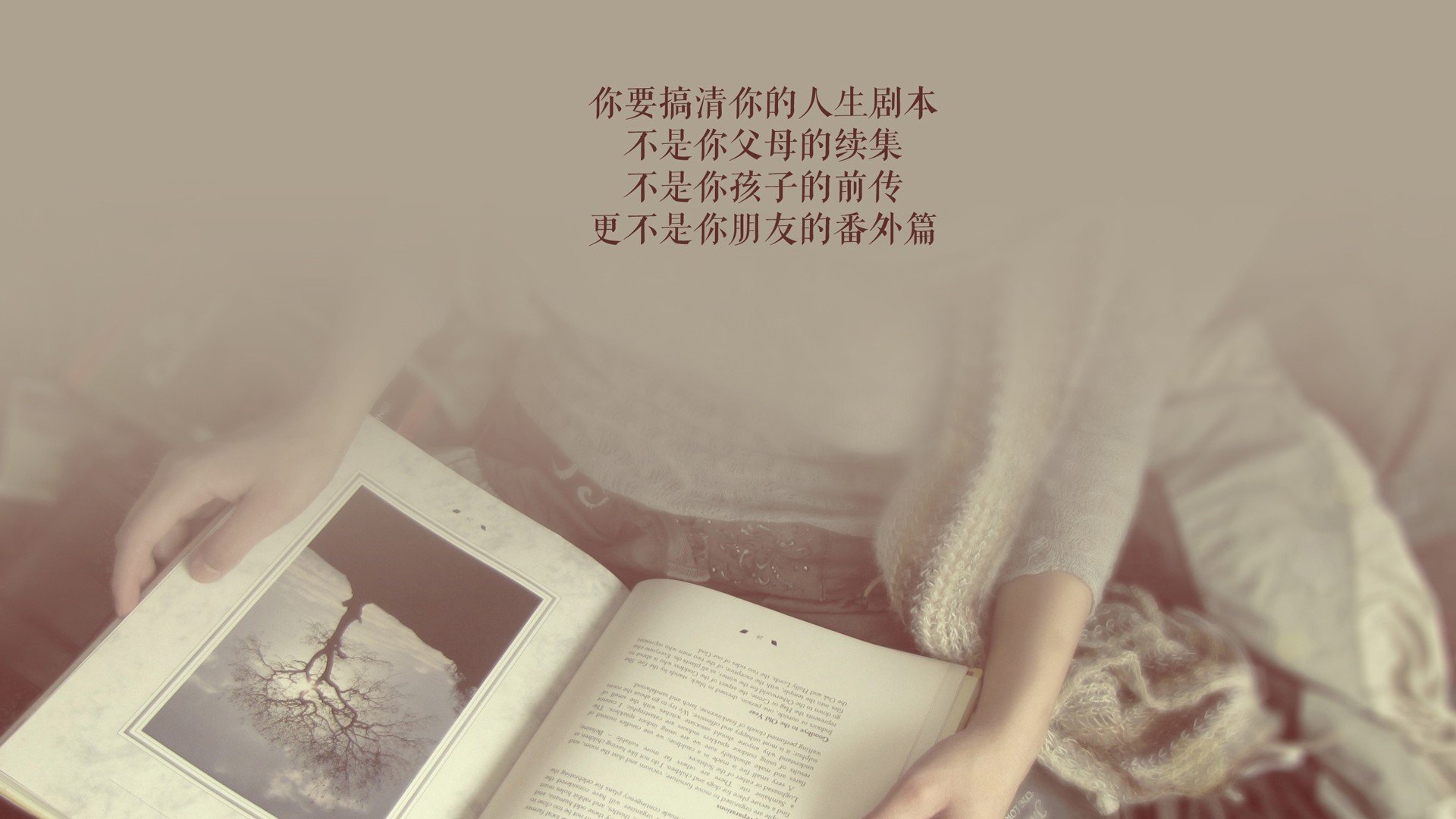 阵容稳固战术明智联防联攻取胜，明智rank7