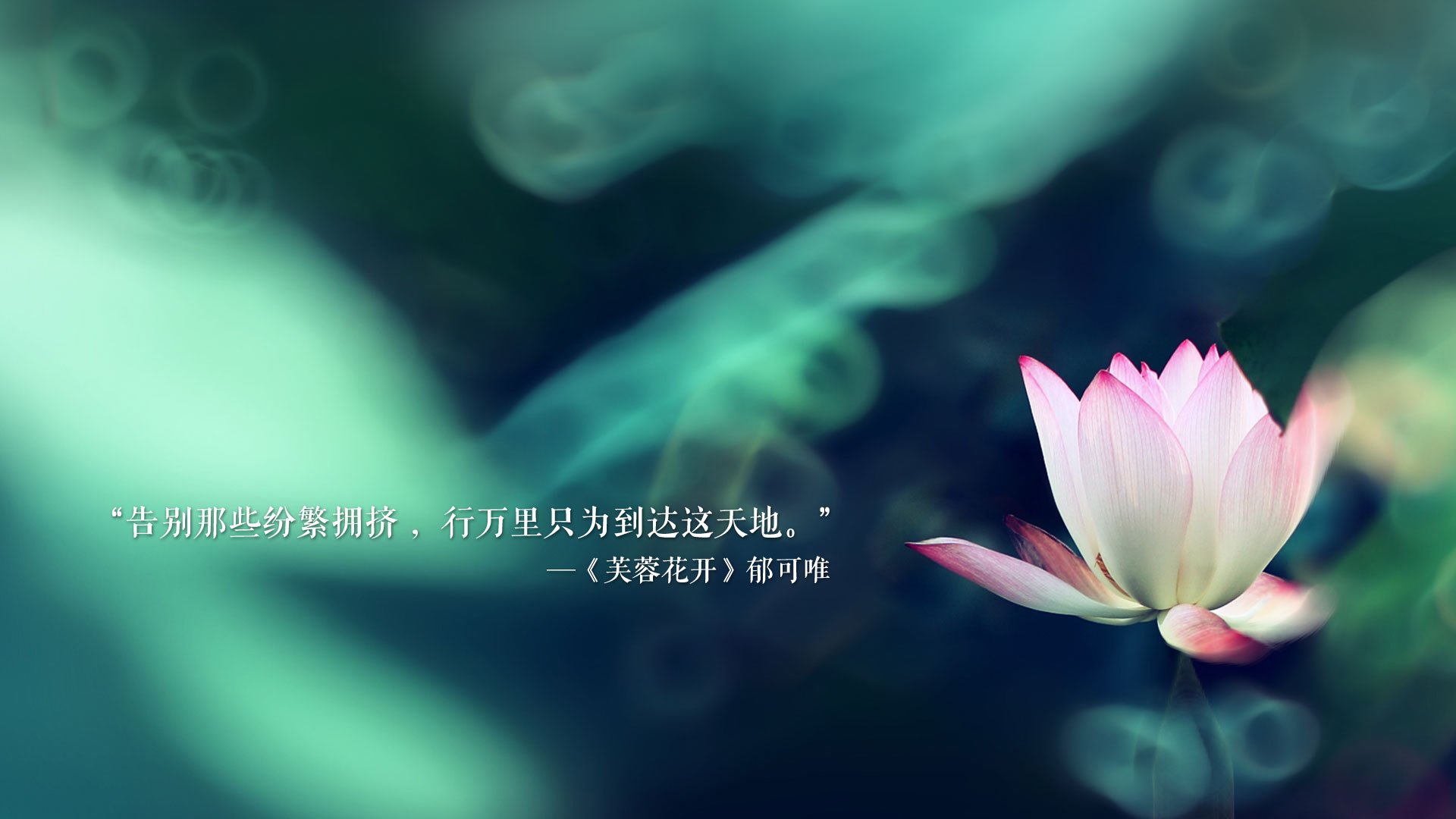 leyu乐鱼-阵容稳固战术明智，联防联攻取胜在即，联防是什么东西