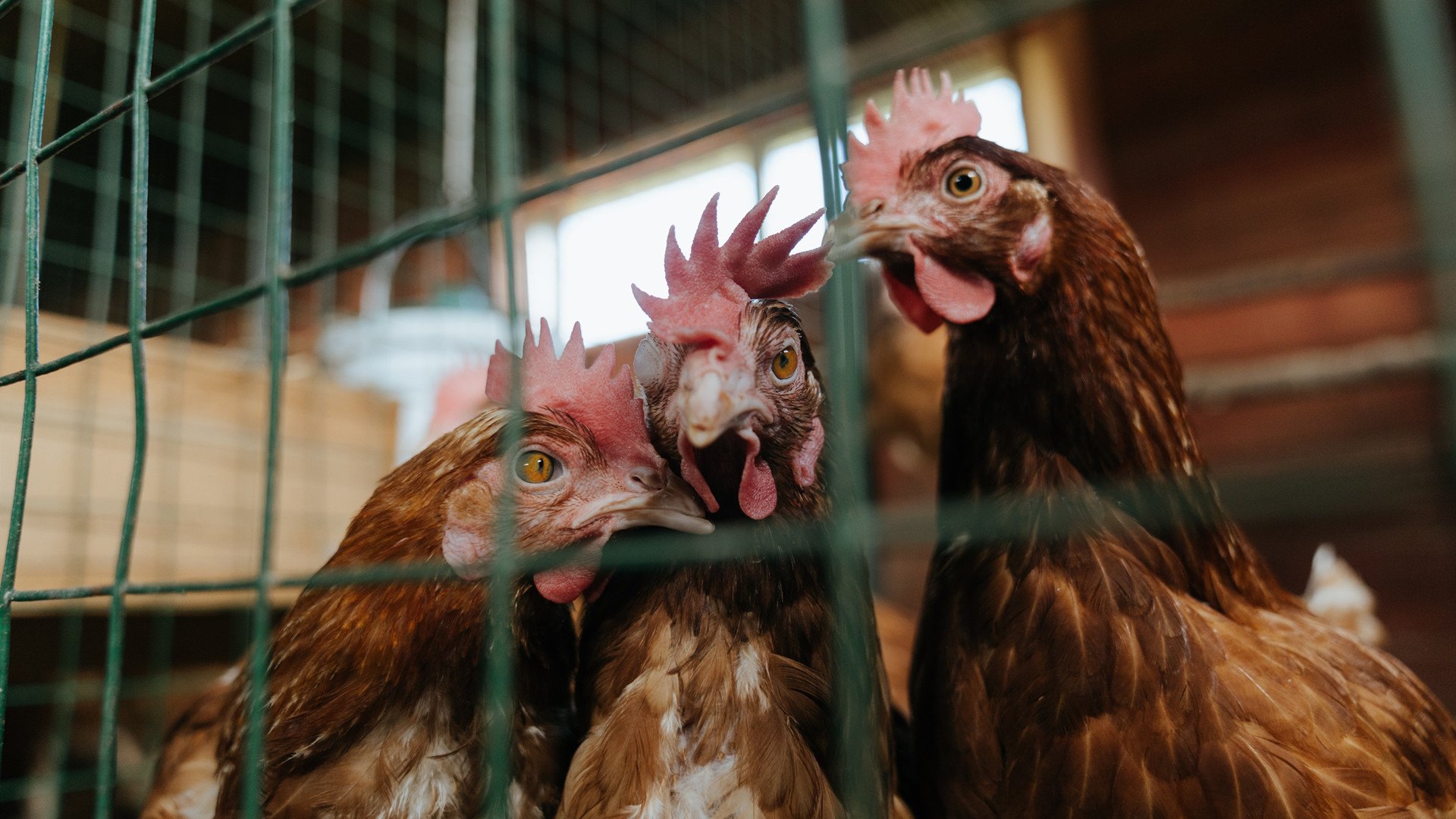 校园足球赛事促进学生全面发展，开展校园足球的可行性