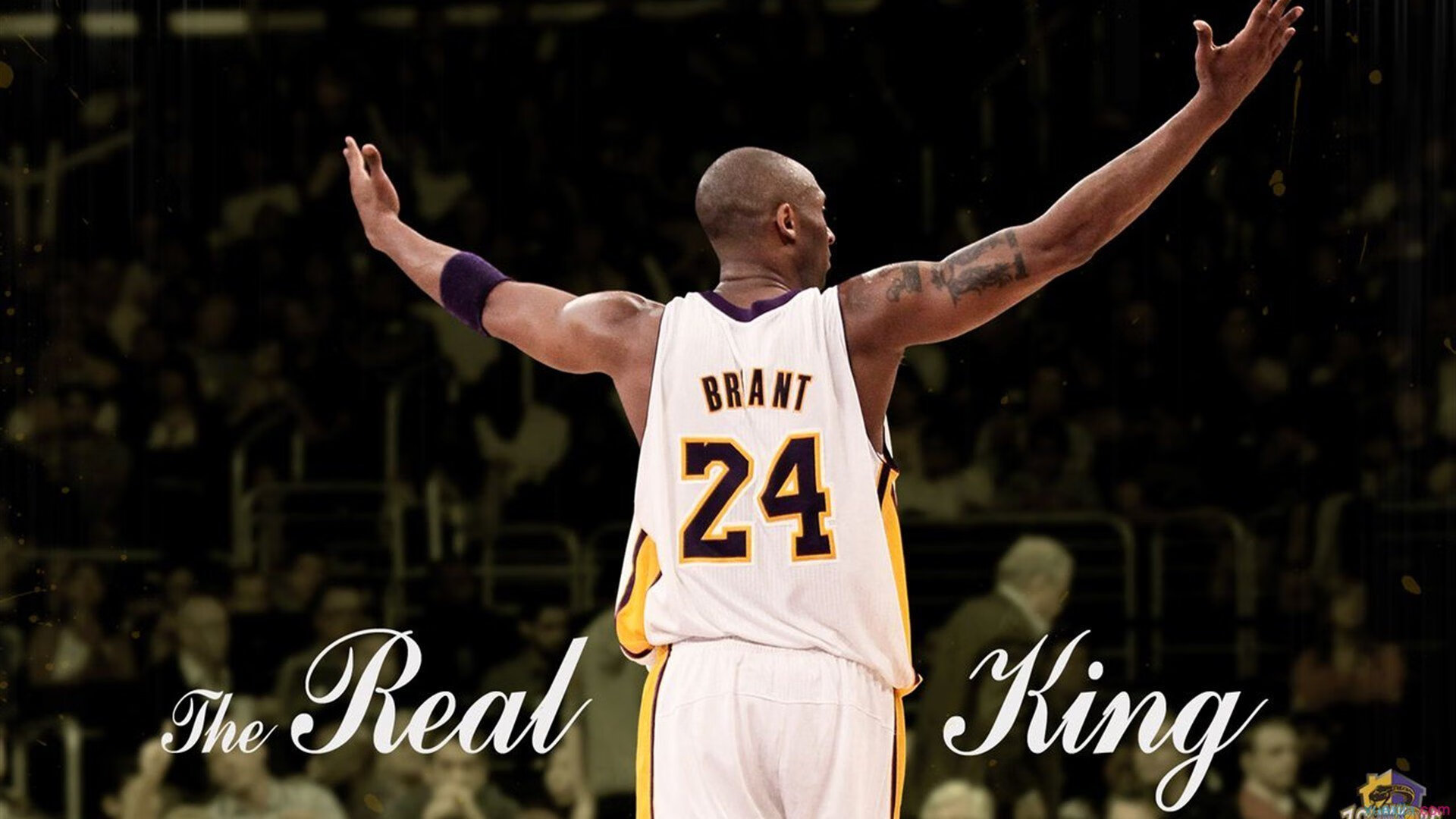 中国青少年篮球联盟宣布新一轮扶持政策,助力成长,中国青少年篮球联赛有哪些