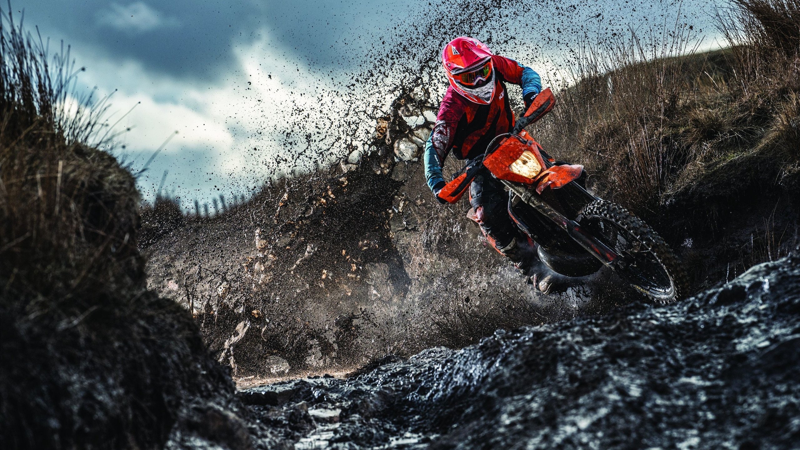 哥伦比亚马术协会举办国际马术科技大会,推动行业技术交流与合作。